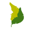 NATUR Logo
